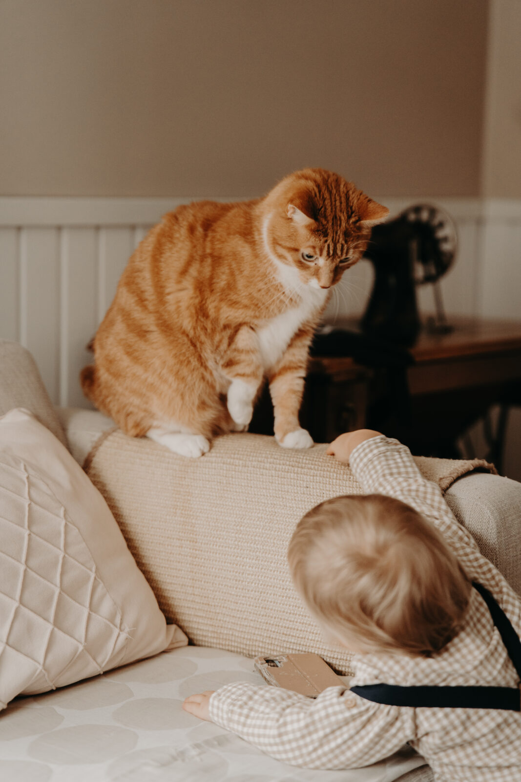 Our Story perhekuvaus kotona