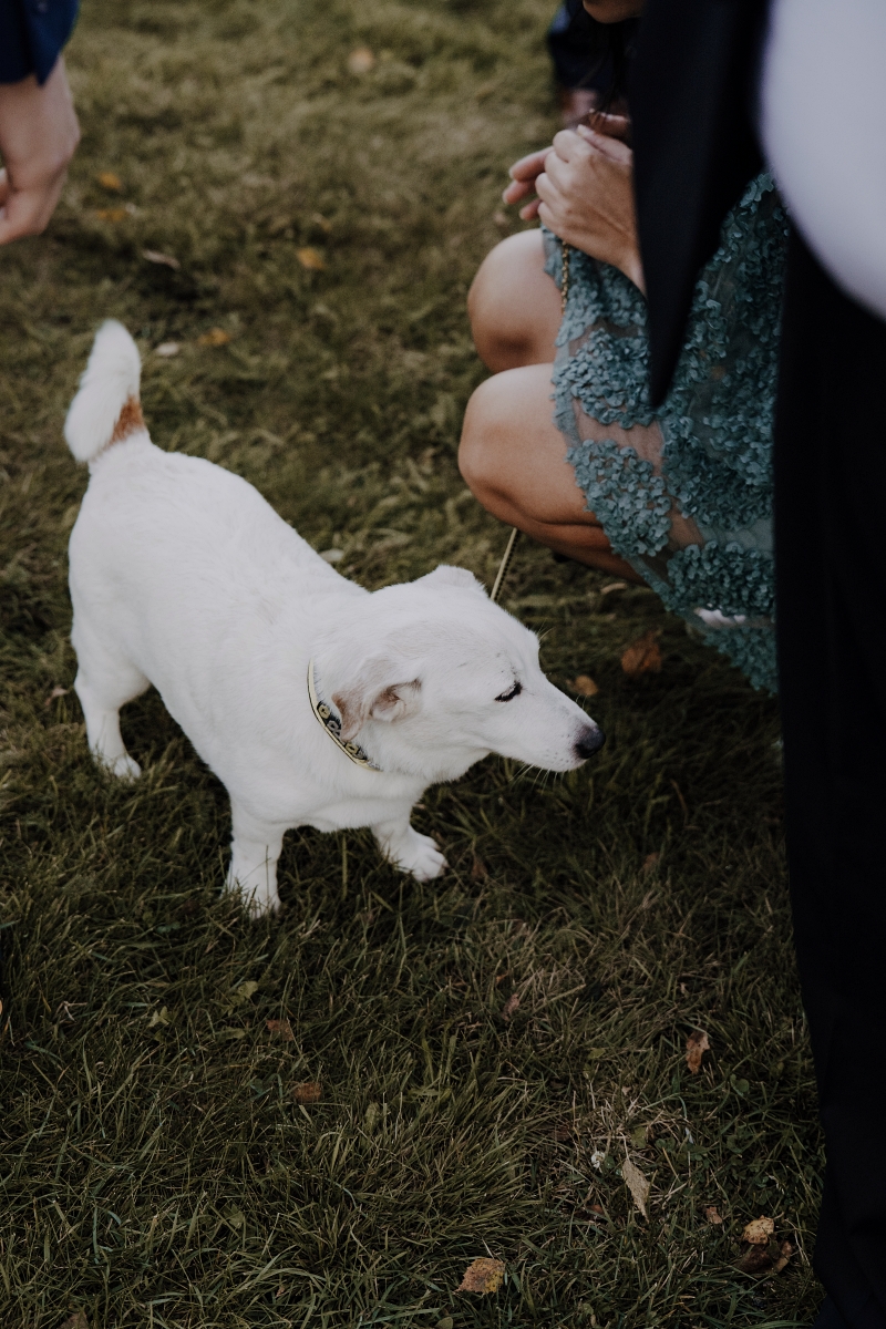 Häät Haikon kartanossa, Porvoo